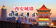 欧美群交内射中国陕西-西安城墙旅游风景区
